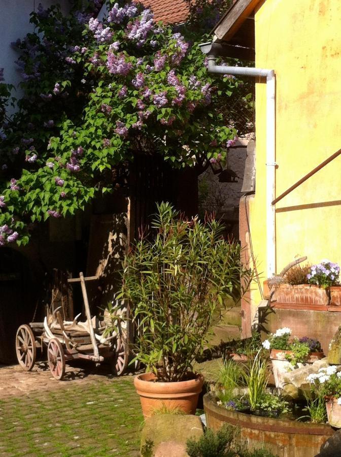 La Maison De Caroline Westhoffen Exteriör bild